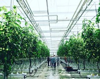 Совхоз Заречное